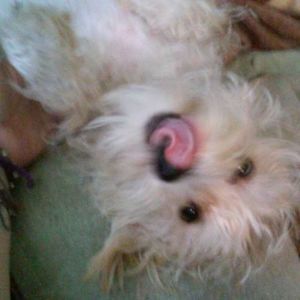 Meet your Posher, Paula